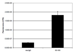 MilliporeSigma Mouse anti-HDAC1, Clone: 2E10, 100&mu;L:Antibodies, Monoclonal